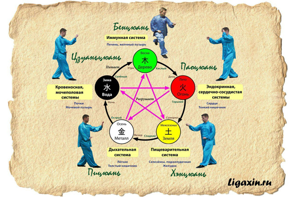 система оздоровления организма