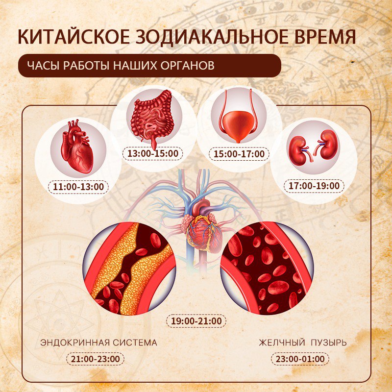 система оздоровления организма