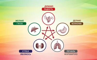 Система оздоровления организма У-син.