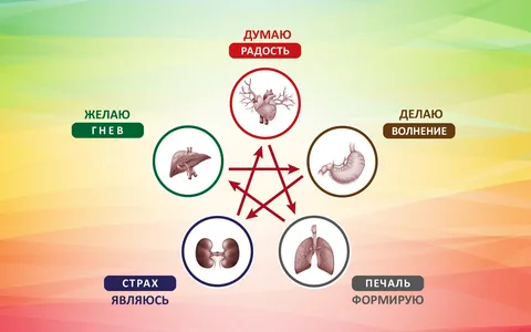 система оздоровления организма