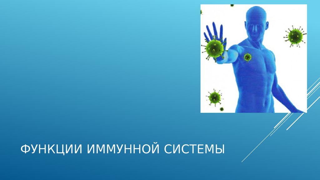 укрепление иммунитета