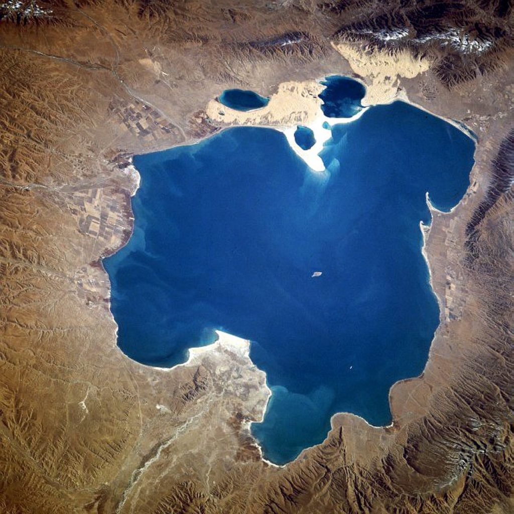 спирулина